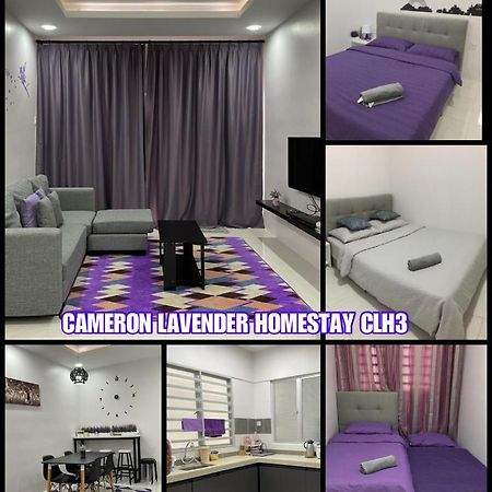 Cameron Lavender Homestay 3 ตานาห์ราตา ภายนอก รูปภาพ