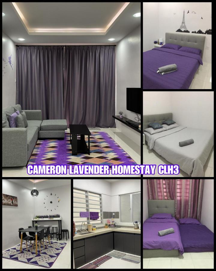 Cameron Lavender Homestay 3 ตานาห์ราตา ภายนอก รูปภาพ